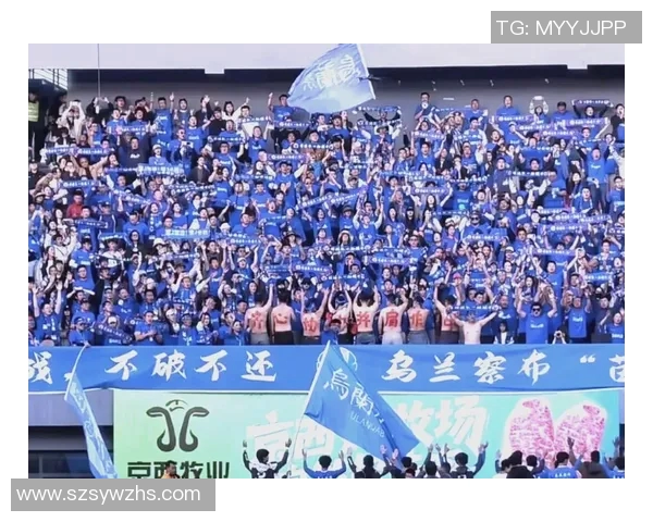 足球圈内的荣耀与挑战球员转会背后的故事与未来展望